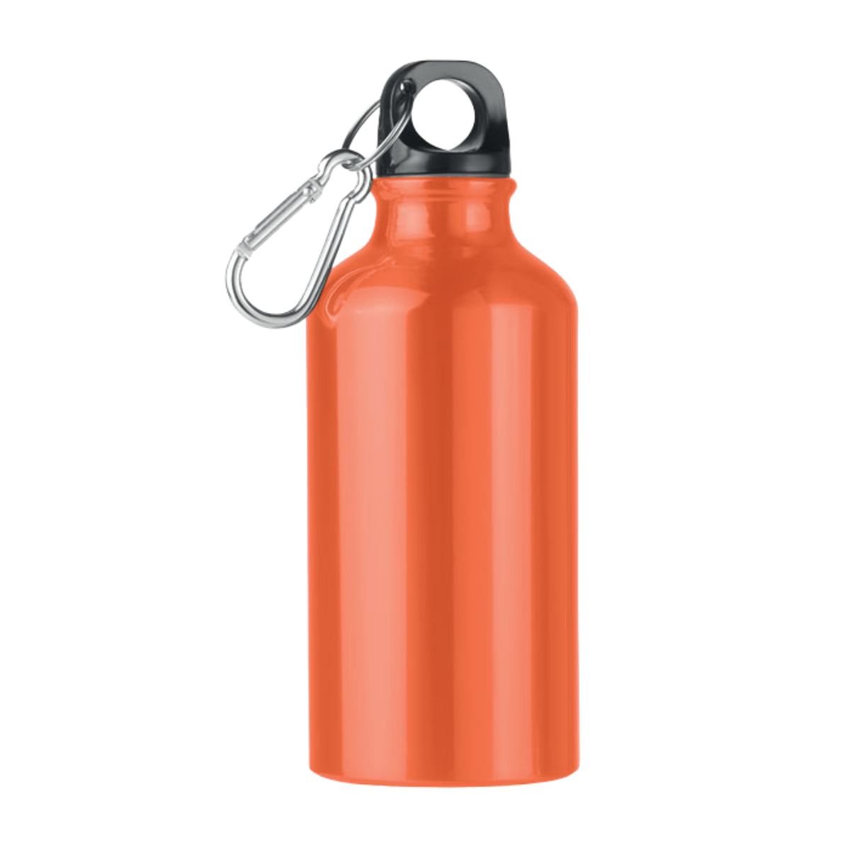 Bottle with Carabiner | 9 Colours